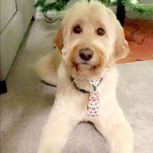 Meet your Posher, Marnie